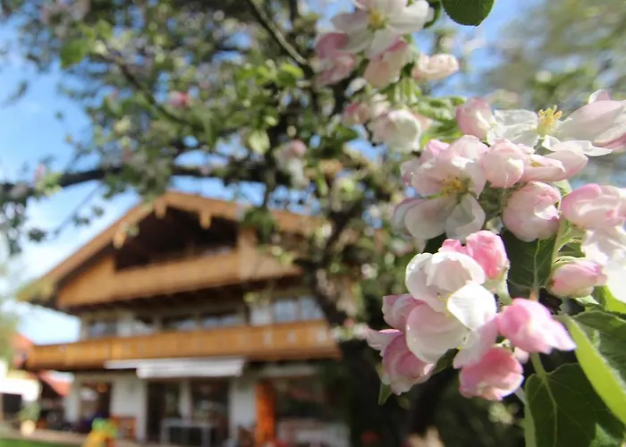 Appartementhaus Schirsner - Direkt Am & Am Kurpark * Schliersee